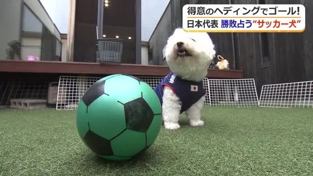 ユニフォームを着ると固まってしまう…