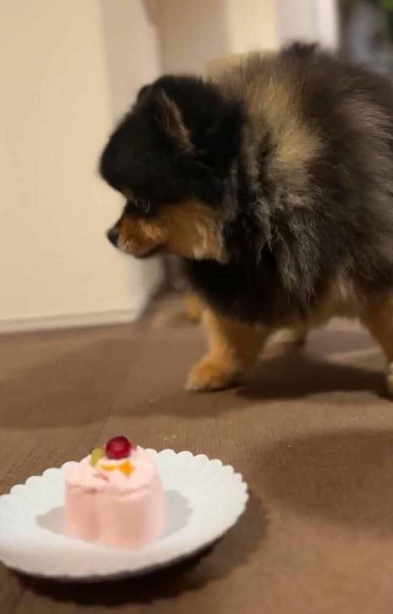 食べてもいいのか…