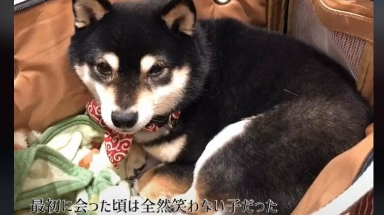 ナルトちゃんは引き取ったとき、遠慮がちだったという