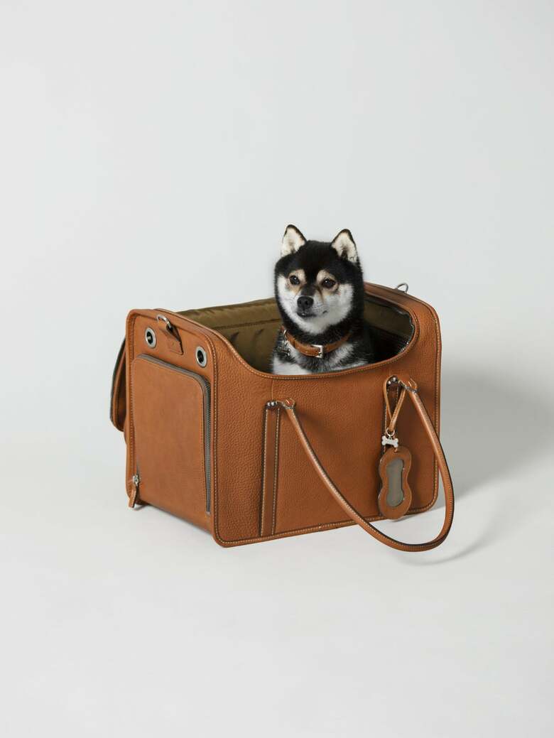 キャリーバッグ（出典:土屋鞄製造所）