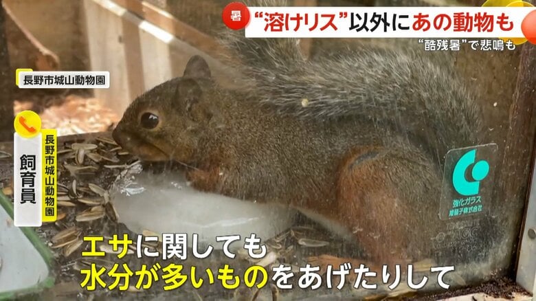 （長野市城山動物園）