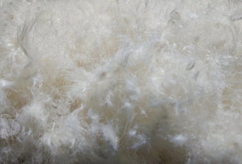 頻繁に洗うと羽毛本来の油分がなくなる可能性も（画像はイメージ）