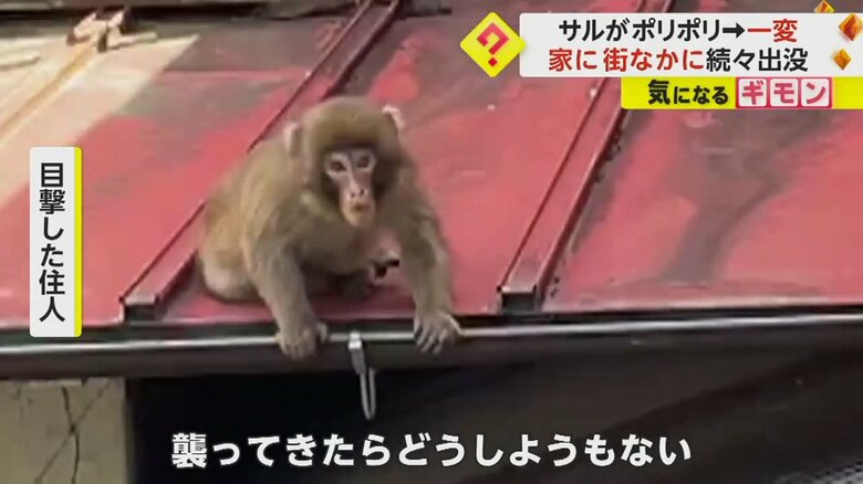 （ビデオPost Fnn投稿サイト）