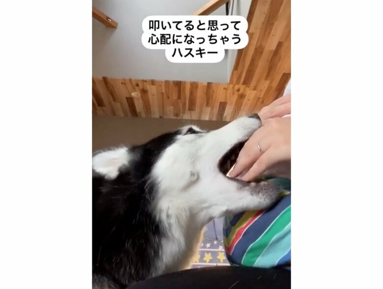 提供：akariさん