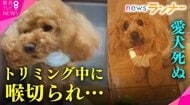 「家族同然の命」トリマーのハサミで喉刺され愛犬死ぬ  「家族」認めぬ一審判決に納得できず… 控訴するも棄却