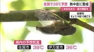 佐賀で「39℃」予想 熱中症警戒アラート発表 佐賀の過去最高気温は39.6℃【佐賀県】