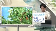 【エンドトーク】「まとまった雨、気温は大幅ダウン」21日のポイント＆きょうの1枚　山形