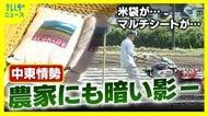売りたくても売れない状況が現実味　燃油高・肥料高・米袋不足の三重苦　野菜作りは雑草との戦いが当たり前に？　マルチシートの不足で悲鳴　募る食材の供給不安への懸念　食卓に忍び寄る中東情勢の影