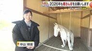 愛媛県松野町の新年を彩る二つの宝　「幸せを呼ぶ白いナマコ」と８４歳が情熱を注ぐ「マツノゴールド」　シリーズ#愛しの媛さんぽ【愛媛発】