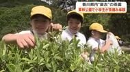 県内最古の茶園がある栗林公園で小学生が「一番茶」の手摘み体験　お茶は葉っぱから…と新たな学び【香川】