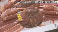 冬の絶品「加能ガニ」の魅力とは？初競りでは450万円で取引も　身がぎっしり詰まっている理由と美味しさの秘密に迫る