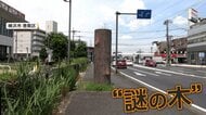 「木じゃない!?」横浜の歩道の真ん中に謎の“巨木”　正体は下水道施設でコンクリート製