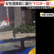 「この泥棒猫！」夫の不倫が原因で…妻が元同僚の女性清掃員をボ…