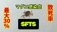 致死率は最大30％　ダニ媒介の感染症SFTSに農作業中の80代女性が感染し　福井県内で3年ぶりの確認
