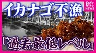 「頼むから取れて」関西の春の風物詩“イカナゴ”に危機　「過去最低レベル」の不漁で大阪湾では3年連続の“自主禁漁”　海水温上昇で冬眠ならぬ“夏眠”できず