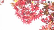 25@大仙市 旬の味覚に紅葉…秋を楽しむ