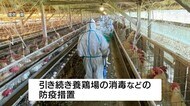鹿児島県内2例目の高病原性鳥インフルエンザ確認 ニワトリの殺処分終了