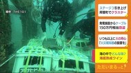海底で熟成 地元ワイナリーの赤ワイン 味はどう変化? 静岡・伊豆市