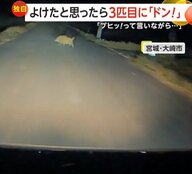 「修理費いくらかかるかと…」イノシシ3匹飛び出し車と衝突　早朝にシカとぶつかり車が走行不能に　動物と車の衝突相次ぐ