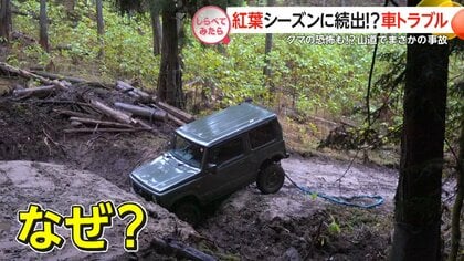 紅葉シーズンに続出!?車トラブル【しらべてみたら】