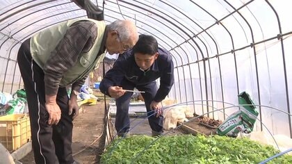 震災で失った父への思いを胸に…農家を継ぐ決意をした青年　二人三脚で歩む“孫”と“祖父”