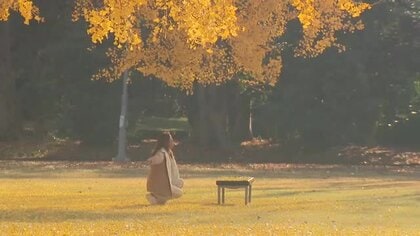 富山県内、天気はゆっくり下り坂　夜遅くには雨が降り出すところも　日中は青空に街路樹の紅葉が映える