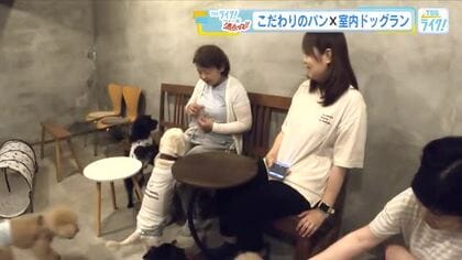 『こだわりパン屋』の中に『室内ドッグラン』！？　雨の日でも飼い主と愛犬がハッピーに　広島