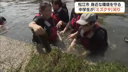 夏の水温上昇で川に大量繁茂…「ミズクサ」刈りを中学生が体験　回収した90キロを畑の肥料に（島根）
