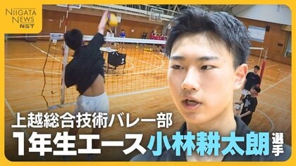 「間違いなく世代ナンバーワン」男子バレー世代別日本代表が新潟の高校へ！最高到達点3.35mから打ち込むスパイクは威力抜群