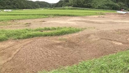 稲の収穫・出荷への影響避けられず　生産意欲高めていた若手農家、出鼻くじかれ肩落とす【秋田・7月下旬の大雨】