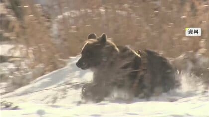 死者6人含む218人の人身被害…クマを「指定管理鳥獣」に決定　秋田市で“籠城”50時間超も…人命守る駆除に賛否の声