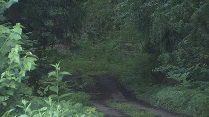 クマに襲われたか　顔や背中に大きな引っ掻き傷　50代くらいの男性が死亡　山林内で倒れている状態で発見