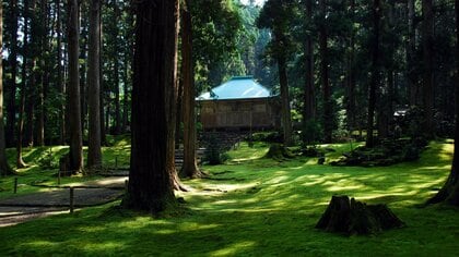 福井・勝山市の白山神社で行われる「三十三年御開帳」。1300年の歴史