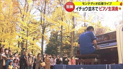 黄色に染まったイチョウ並木でYouTuberがピアノ生演奏　モンテディオ山形の応援ライブ開催【山形発】