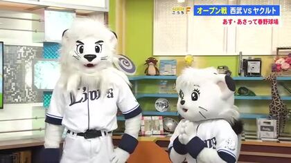 14年ぶり！高知でプロ野球オープン戦　西武から「レオ」くん＆「ライナ」ちゃんがスタジオ生出演