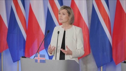 北欧アイスランド　EU加盟にむけ国民投票へ　ウクライナ侵攻などで関心が再燃