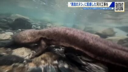 川に生息するオオサンショウウオを守る　河川工事に関する検討会　サンショウウオに配慮すると明示　広島