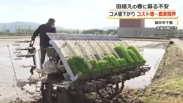福井市内でいち早く田植えスタート