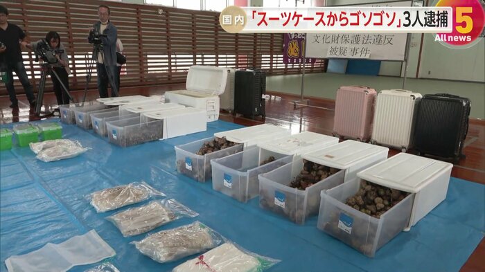 スーツケース6つに入れて所持していた疑いが持たれている(鹿児島・奄美署)