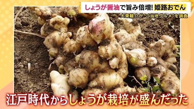 しょうがの栽培に適した土壌が整っていた