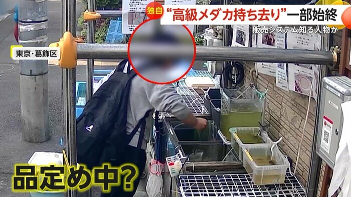 品定めしているような女性(視聴者提供)