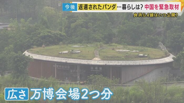 広さは大阪・関西万博の会場2つ分
