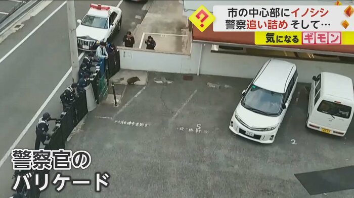 ずらりと並び、バリケードを作った警察官たち