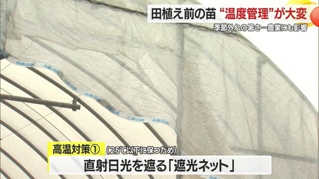 直射日光を遮る遮光ネットは、ハウス内の温度が高くなることを回避するために必須