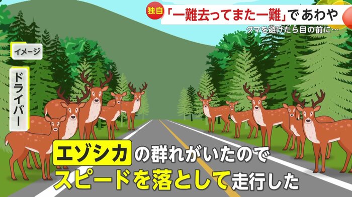 エゾシカのおかげで助かったと語る撮影者(イメージ)