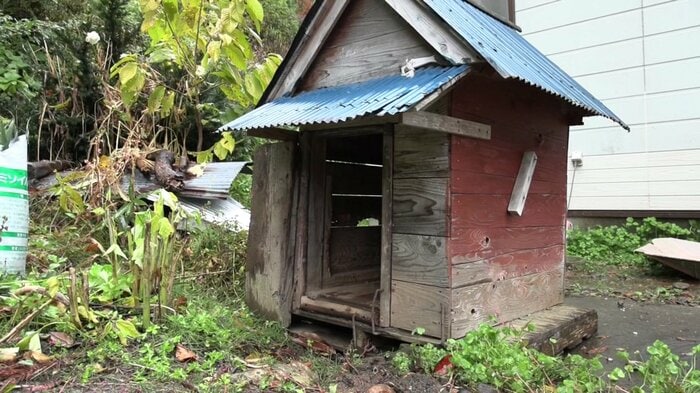 飼い犬がクマに襲われた現場の犬小屋（秋田市）