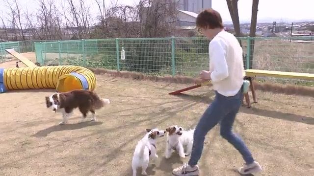 渡邉さんと3匹の愛犬