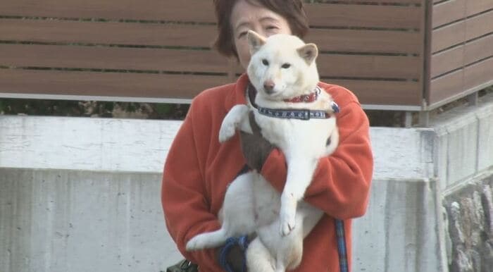 抱っこされて散布する「ひかり」