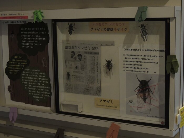 展示風景