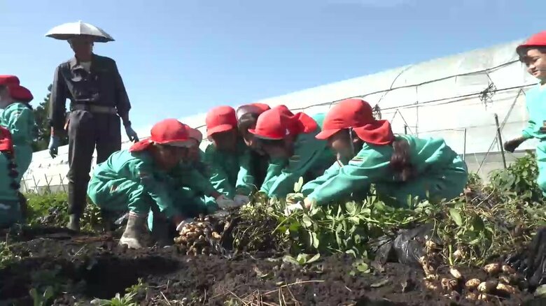 園児が落花生を収穫　ホクホク塩ゆでにして味わう　岩手県矢巾町｜FNNプライムオンライン